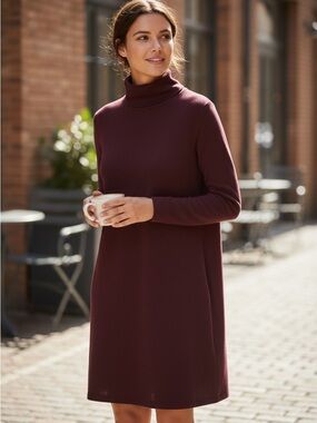 American Eagle Outfitters Maroon Long Sleeve Dress